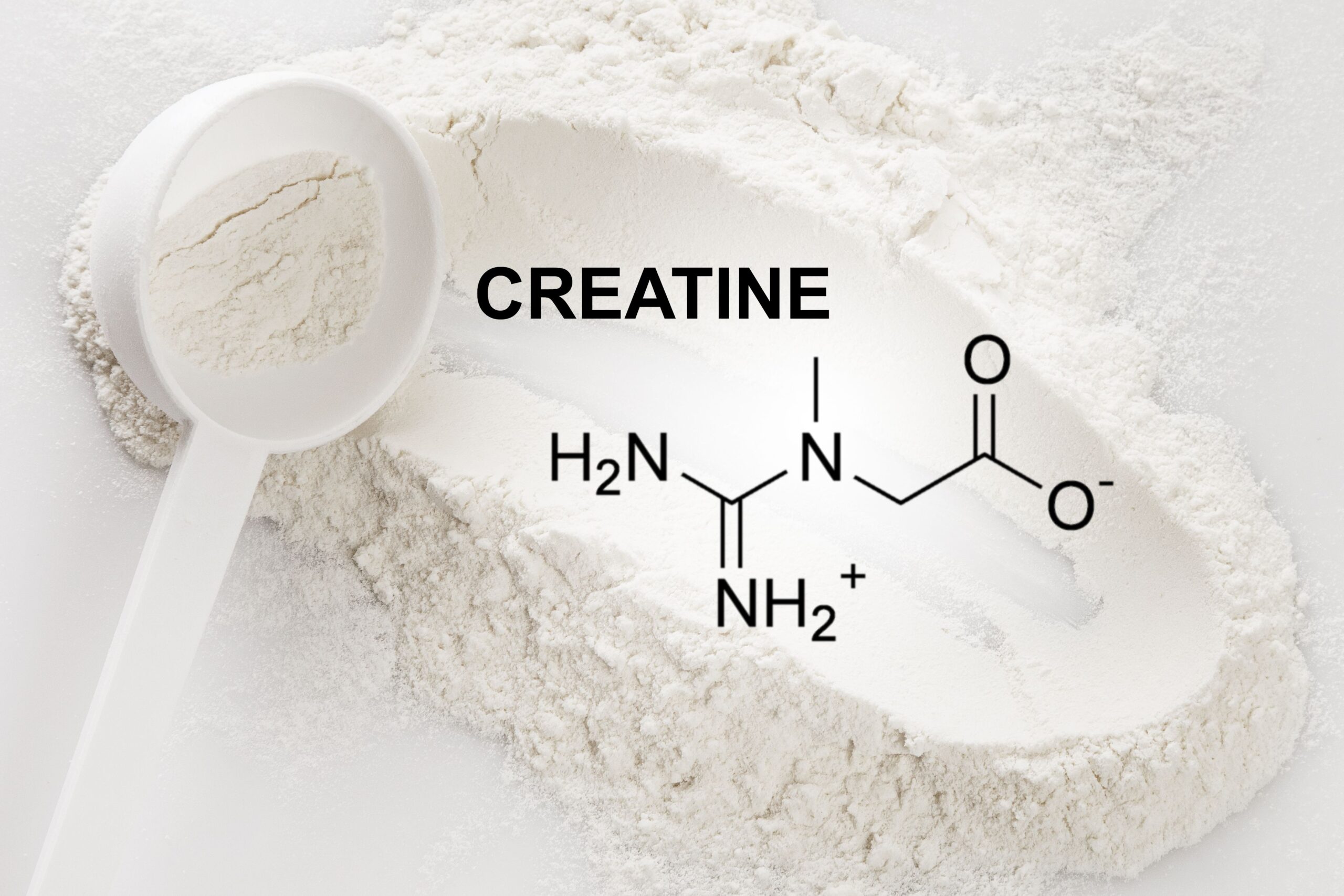 creatine, creatine phosphate, creatine for endurance athlete, creatine for performance